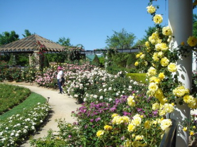 Roche Garden Tour Oct 2006